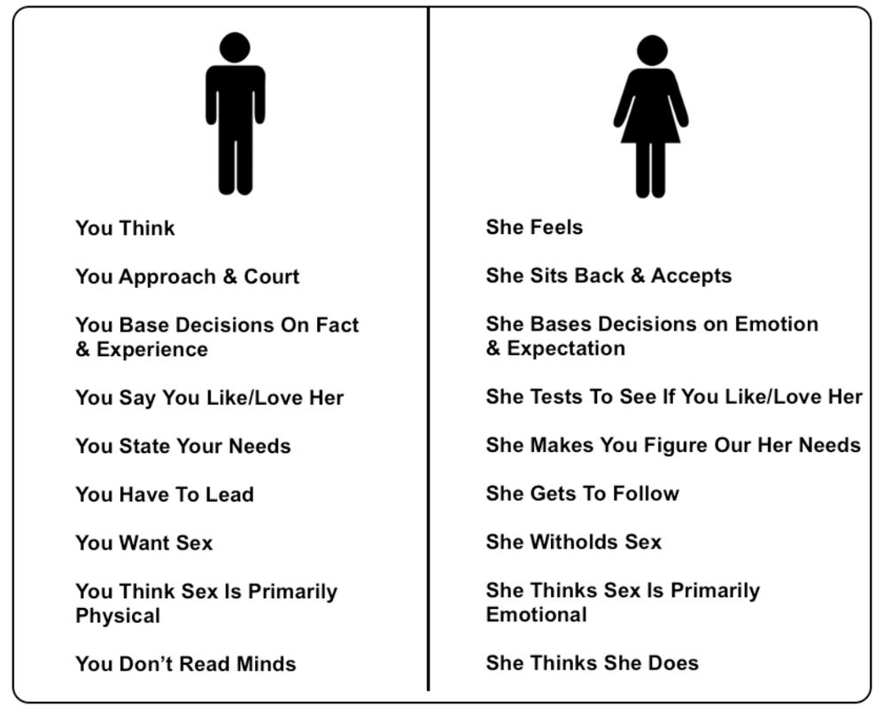 The Difference Between the Male and Female Brain - Men versus Women